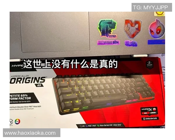 CSGO装备选购指南:如何选择适合你的游戏键盘推荐 CSGO装备选购指南:如何选择适合你的游戏键盘推荐