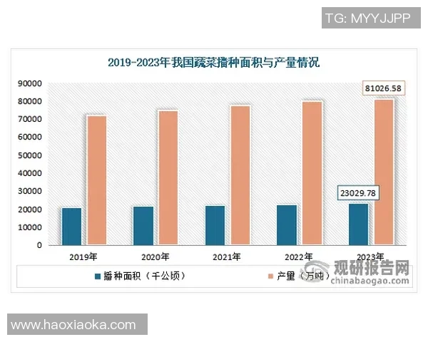 成都滑板队意识表现的深度数据分析与探索研究 成都滑板队意识表现的深度数据分析与探索研究