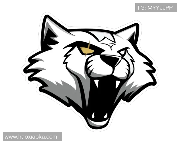 CSGO赛事分析：深入探讨WE战队的游戏节奏与战术布局