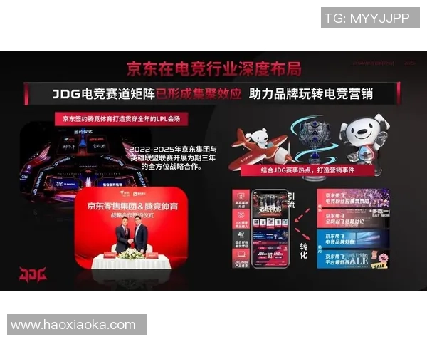 最新英雄联盟战队配合排名TOP10JDG强势领跑引发关注